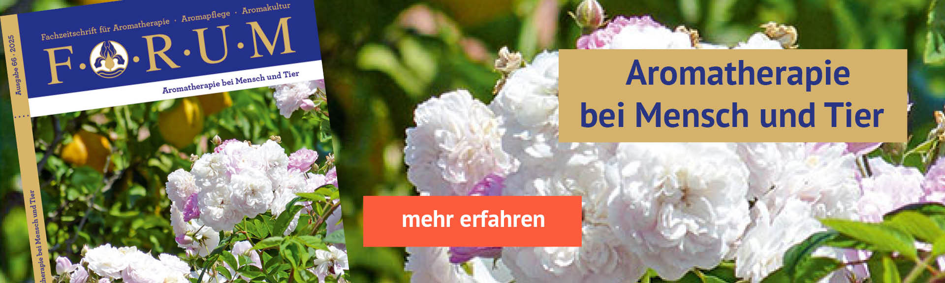 Forum+66+Aromatherapie+bei+Mensch+und+Tier