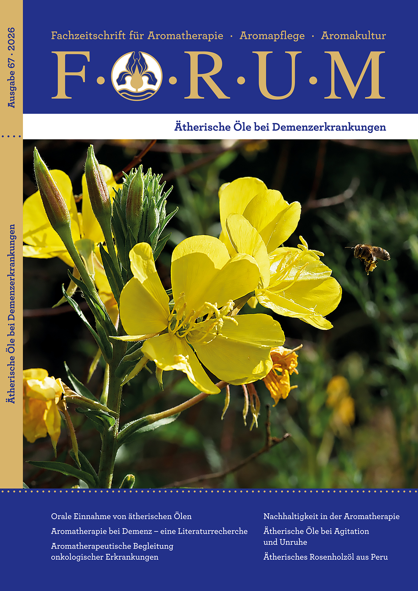 Forum 66 Forum 66
